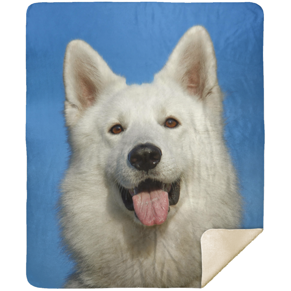 50% OFF SALE - DOG BLANKET - COZY FLEECE/PREMIUM SHERPA BLANKET