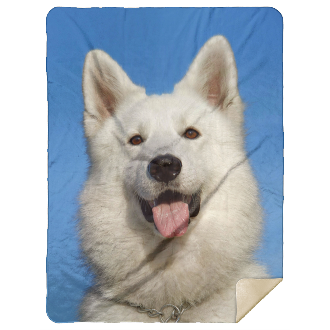 50% OFF SALE - DOG BLANKET - COZY FLEECE/PREMIUM SHERPA BLANKET