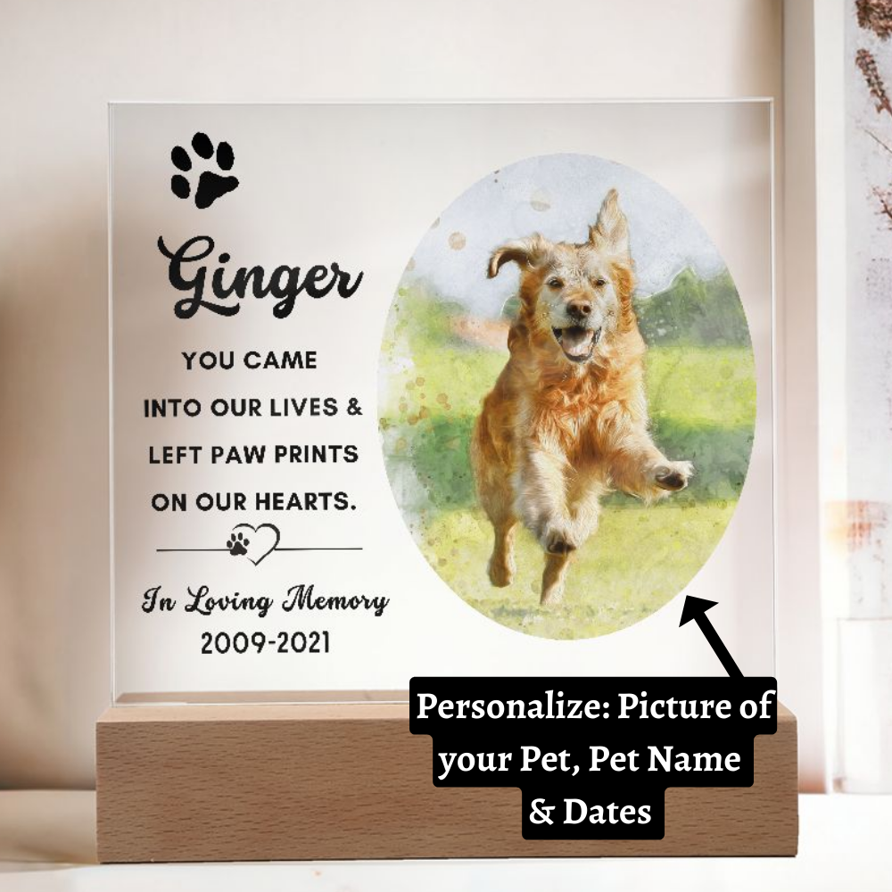 Almost Sold Out - Watercolor Pet Memorial - Acrylic Plaque with Stand