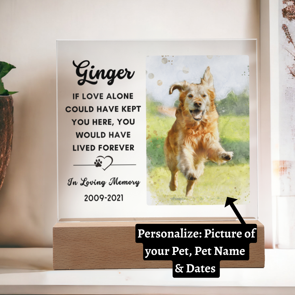 Almost Sold Out - Watercolor Pet Memorial - Acrylic Plaque with Stand