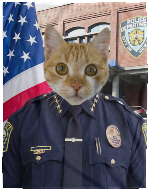 Personalized Cat Police Blanket