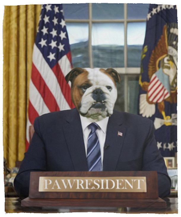 Pawresident Blanket For Dog Lovers