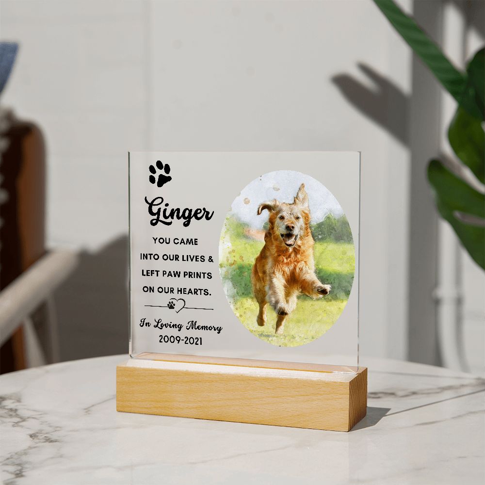 Almost Sold Out - Watercolor Pet Memorial - Acrylic Plaque with Stand