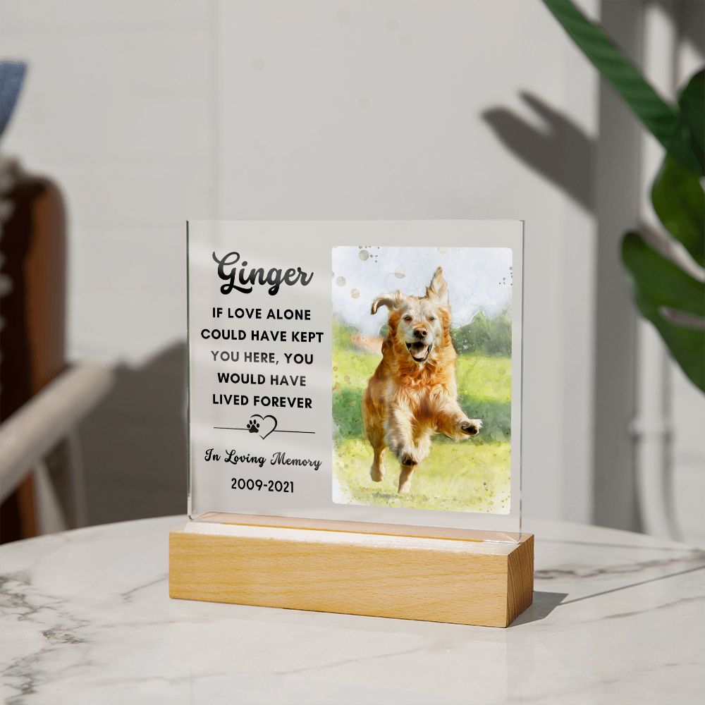 Almost Sold Out - Watercolor Pet Memorial - Acrylic Plaque with Stand