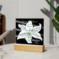 Almost Sold Out - God Says You Are - Acrylic Plaque with Stand