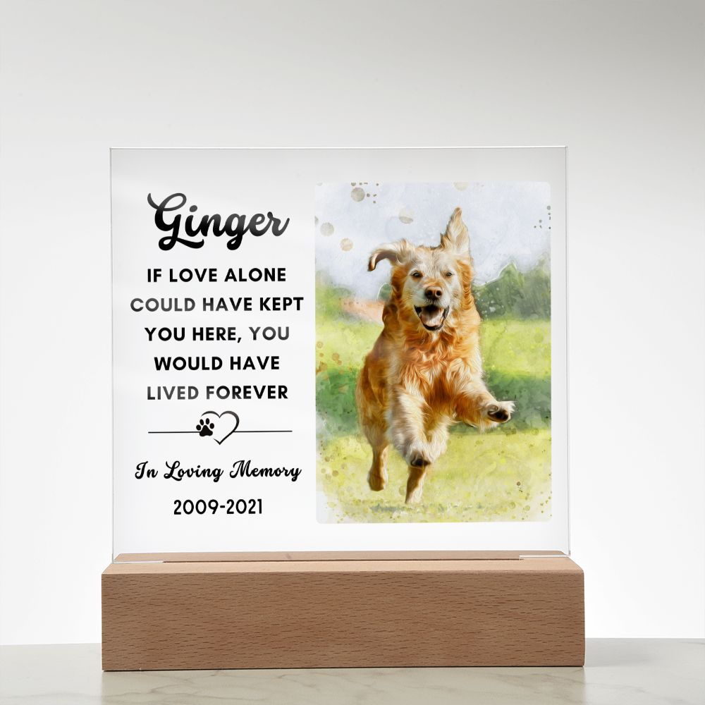 Almost Sold Out - Watercolor Pet Memorial - Acrylic Plaque with Stand