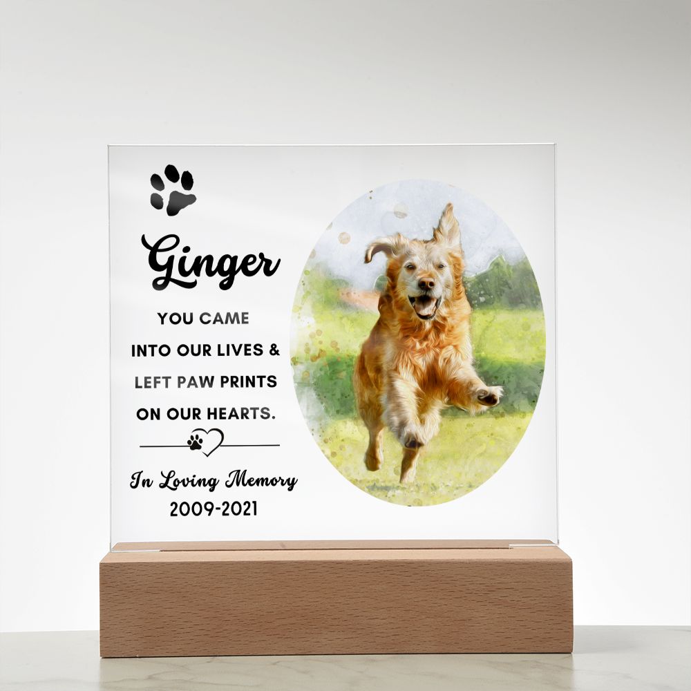 Almost Sold Out - Watercolor Pet Memorial - Acrylic Plaque with Stand
