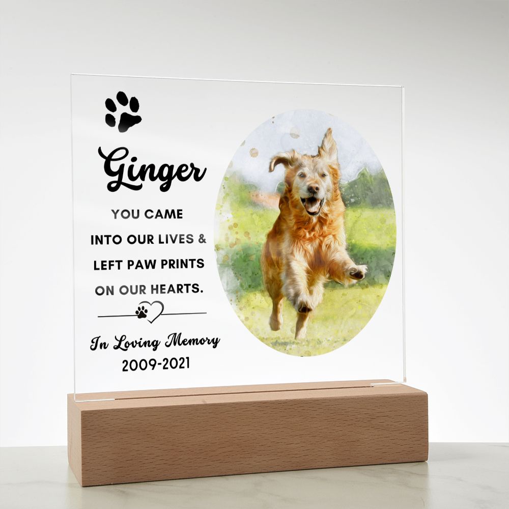 Almost Sold Out - Watercolor Pet Memorial - Acrylic Plaque with Stand