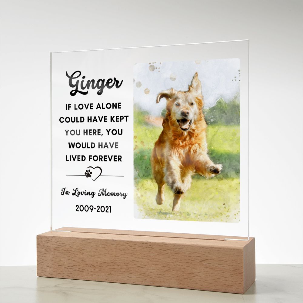 Almost Sold Out - Watercolor Pet Memorial - Acrylic Plaque with Stand