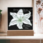 Almost Sold Out - God Says You Are - Acrylic Plaque with Stand