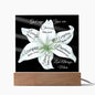 Almost Sold Out - God Says You Are - Acrylic Plaque with Stand