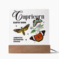 Almost Sold Out - Capricorn - Zodiac Acrylic Plaque