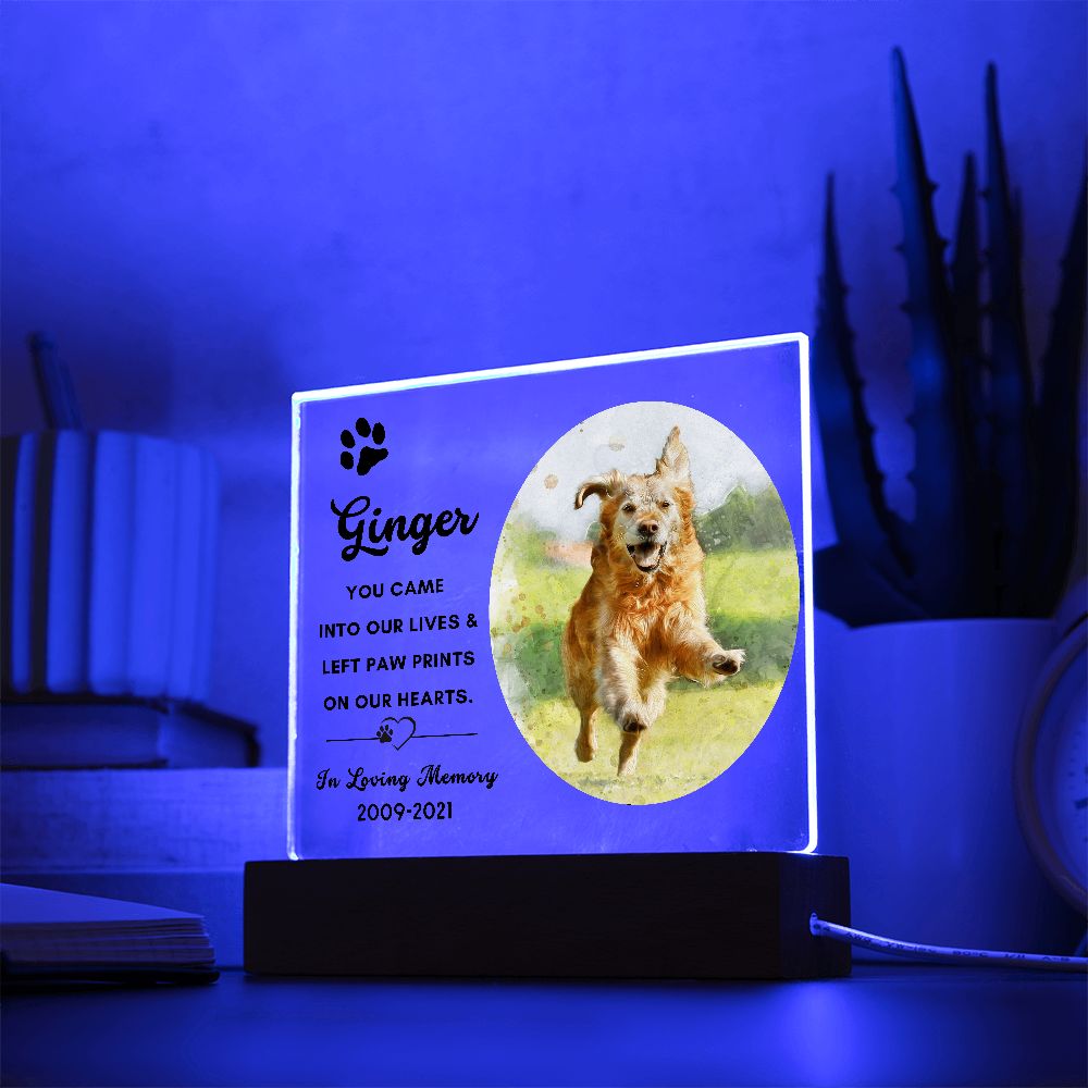 Almost Sold Out - Watercolor Pet Memorial - Acrylic Plaque with Stand