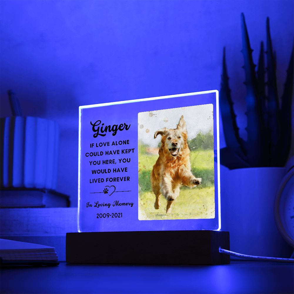 Almost Sold Out - Watercolor Pet Memorial - Acrylic Plaque with Stand