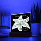 Almost Sold Out - God Says You Are - Acrylic Plaque with Stand