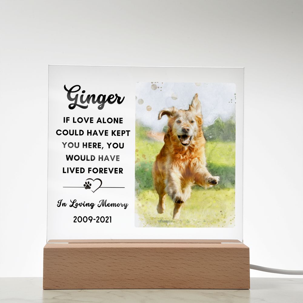 Almost Sold Out - Watercolor Pet Memorial - Acrylic Plaque with Stand