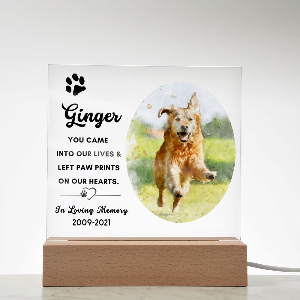 Almost Sold Out - Watercolor Pet Memorial - Acrylic Plaque with Stand