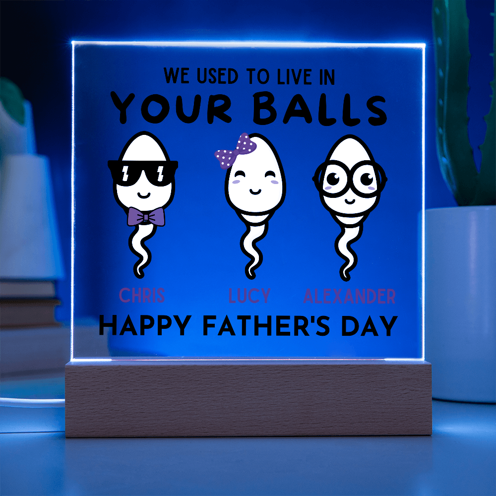 We Used To Live In Your Balls - Printed Square Acrylic Plaque