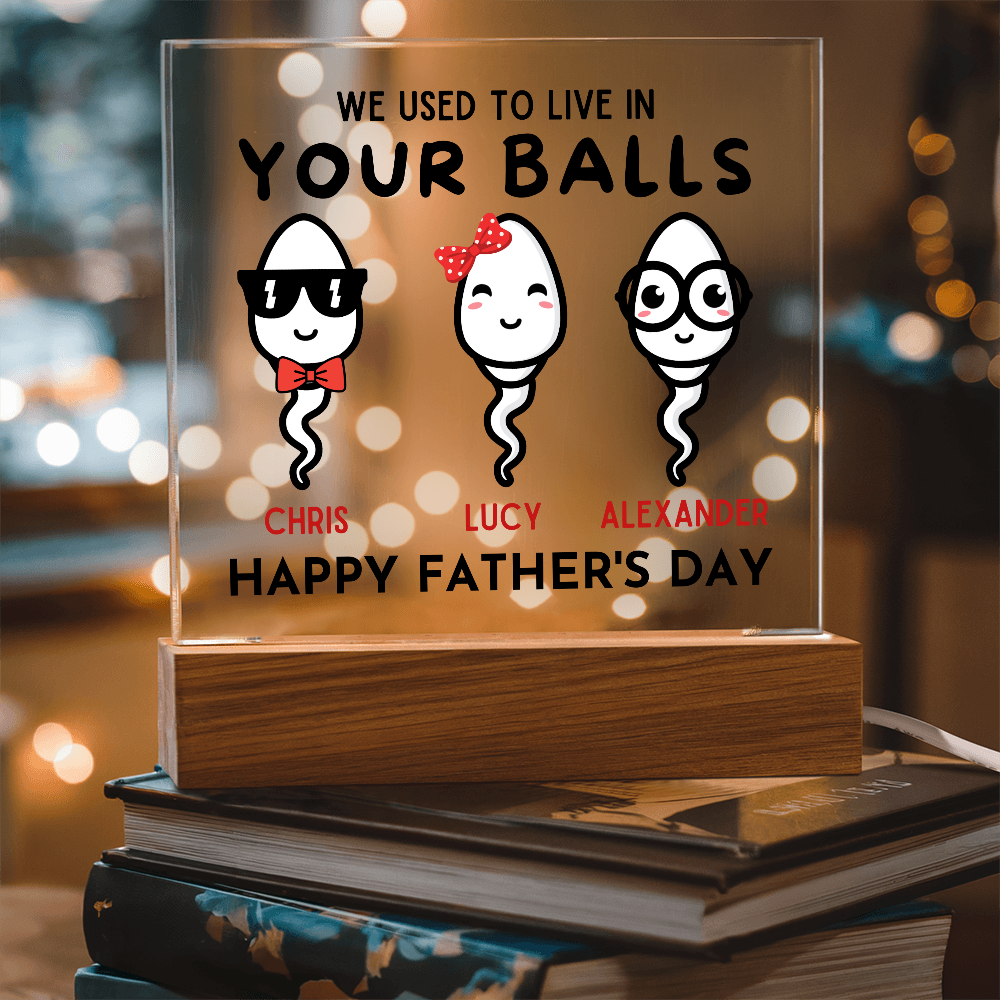 We Used To Live In Your Balls - Printed Square Acrylic Plaque