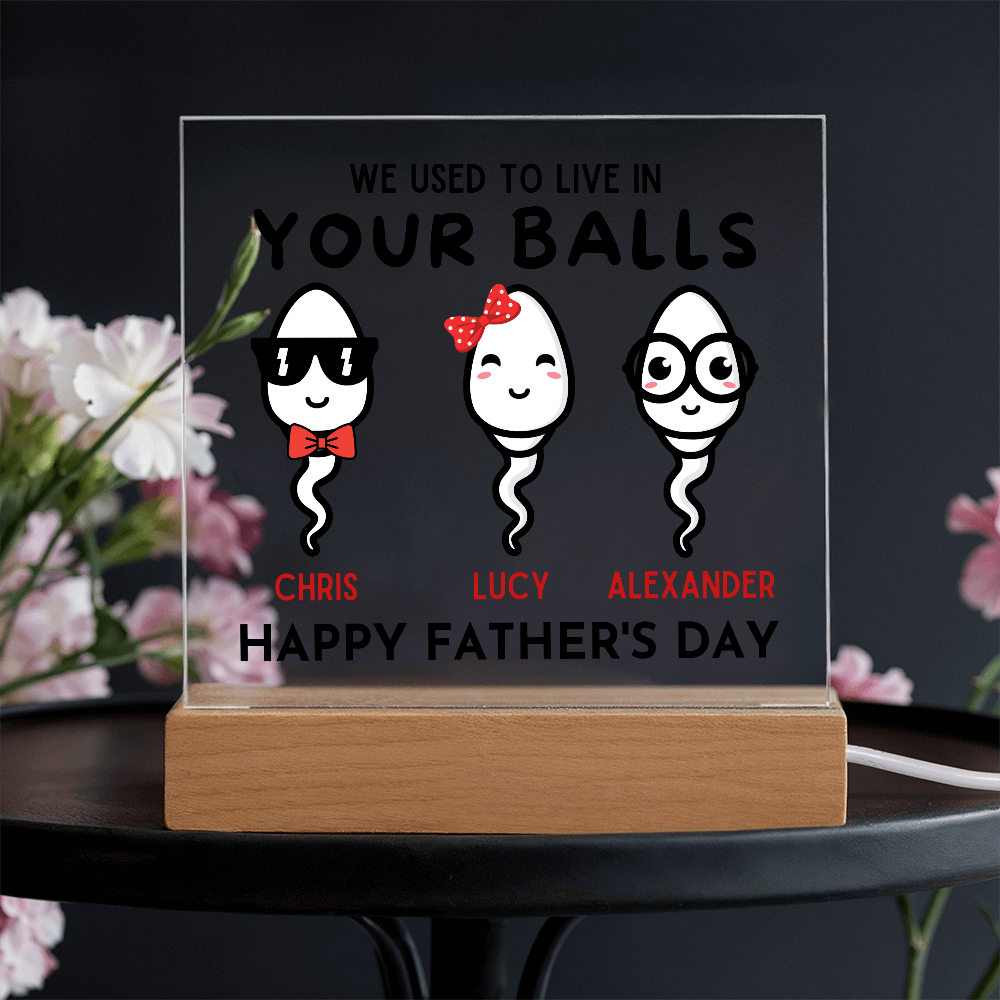 We Used To Live In Your Balls - Printed Square Acrylic Plaque