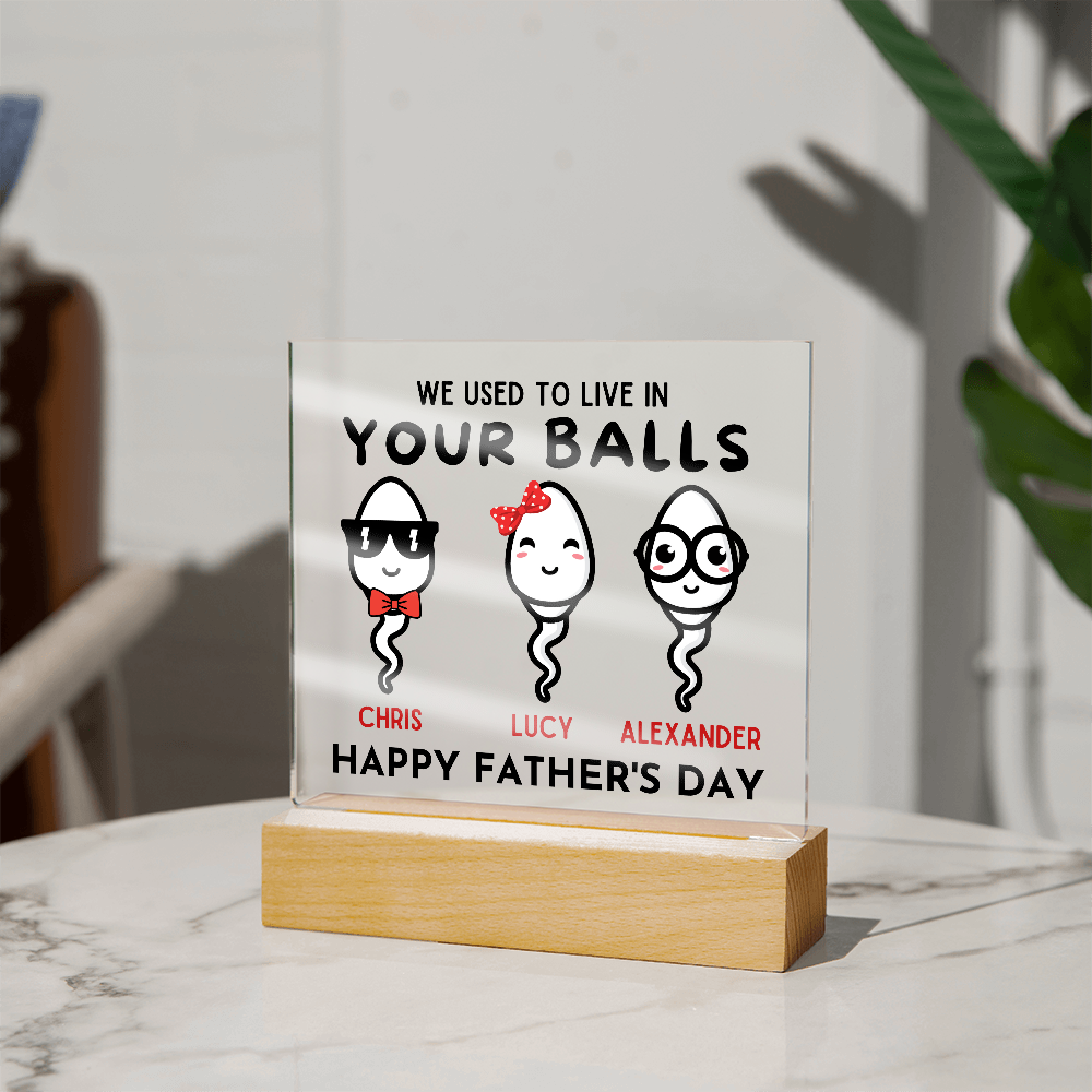 We Used To Live In Your Balls - Printed Square Acrylic Plaque