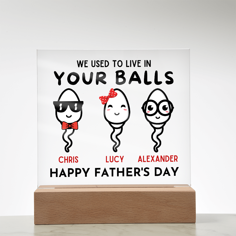 We Used To Live In Your Balls - Printed Square Acrylic Plaque
