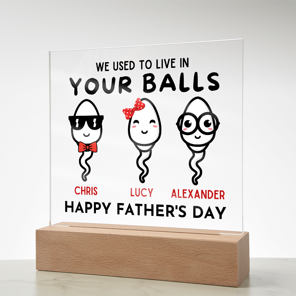 We Used To Live In Your Balls - Printed Square Acrylic Plaque