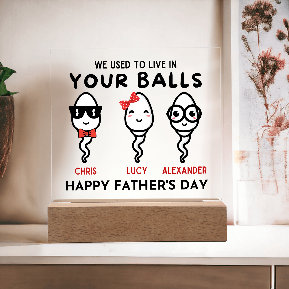We Used To Live In Your Balls - Printed Square Acrylic Plaque
