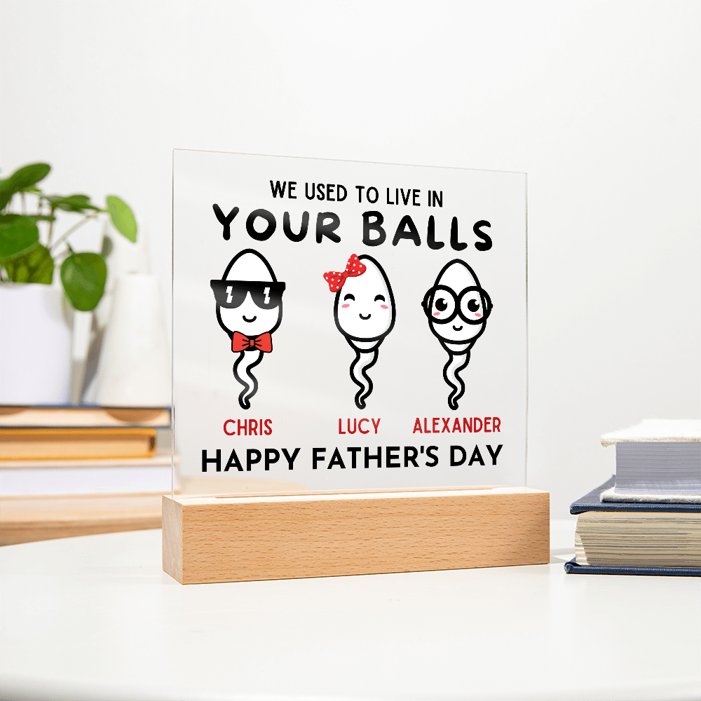 We Used To Live In Your Balls - Printed Square Acrylic Plaque