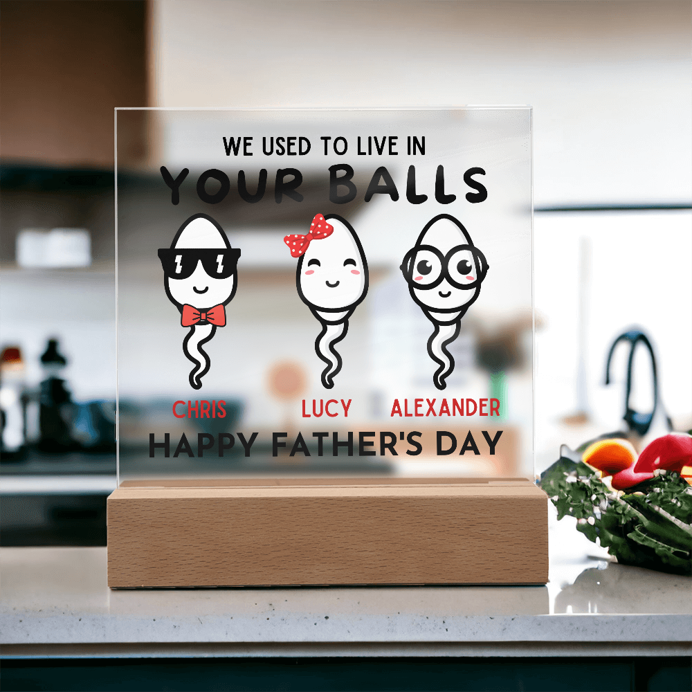 We Used To Live In Your Balls - Printed Square Acrylic Plaque