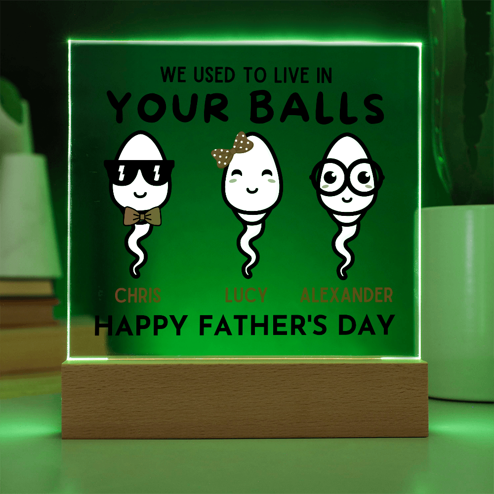We Used To Live In Your Balls - Printed Square Acrylic Plaque