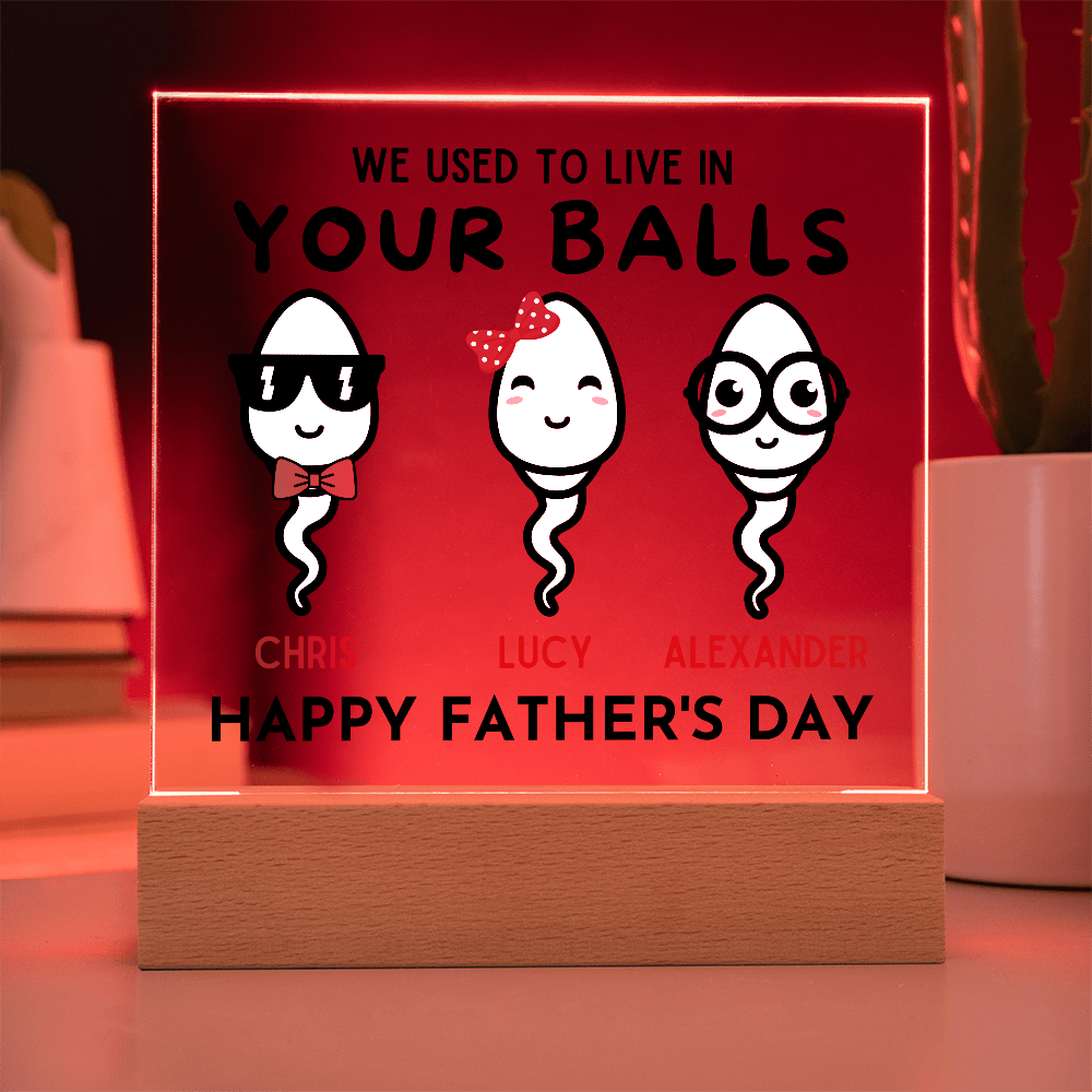 We Used To Live In Your Balls - Printed Square Acrylic Plaque
