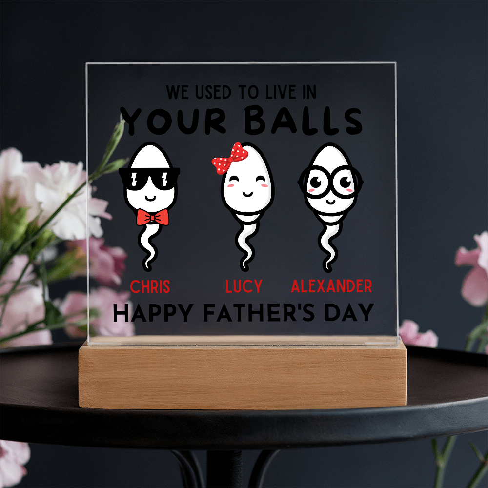 We Used To Live In Your Balls - Printed Square Acrylic Plaque
