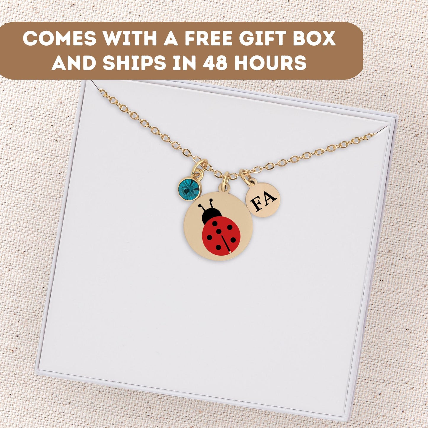 Personalized Dainty Ladybug Necklace, Ladybird Necklace, Ladybird Pendant, Gold Ladybug Pendant, Ladybird Charm, Silver Ladybug Charm Gift