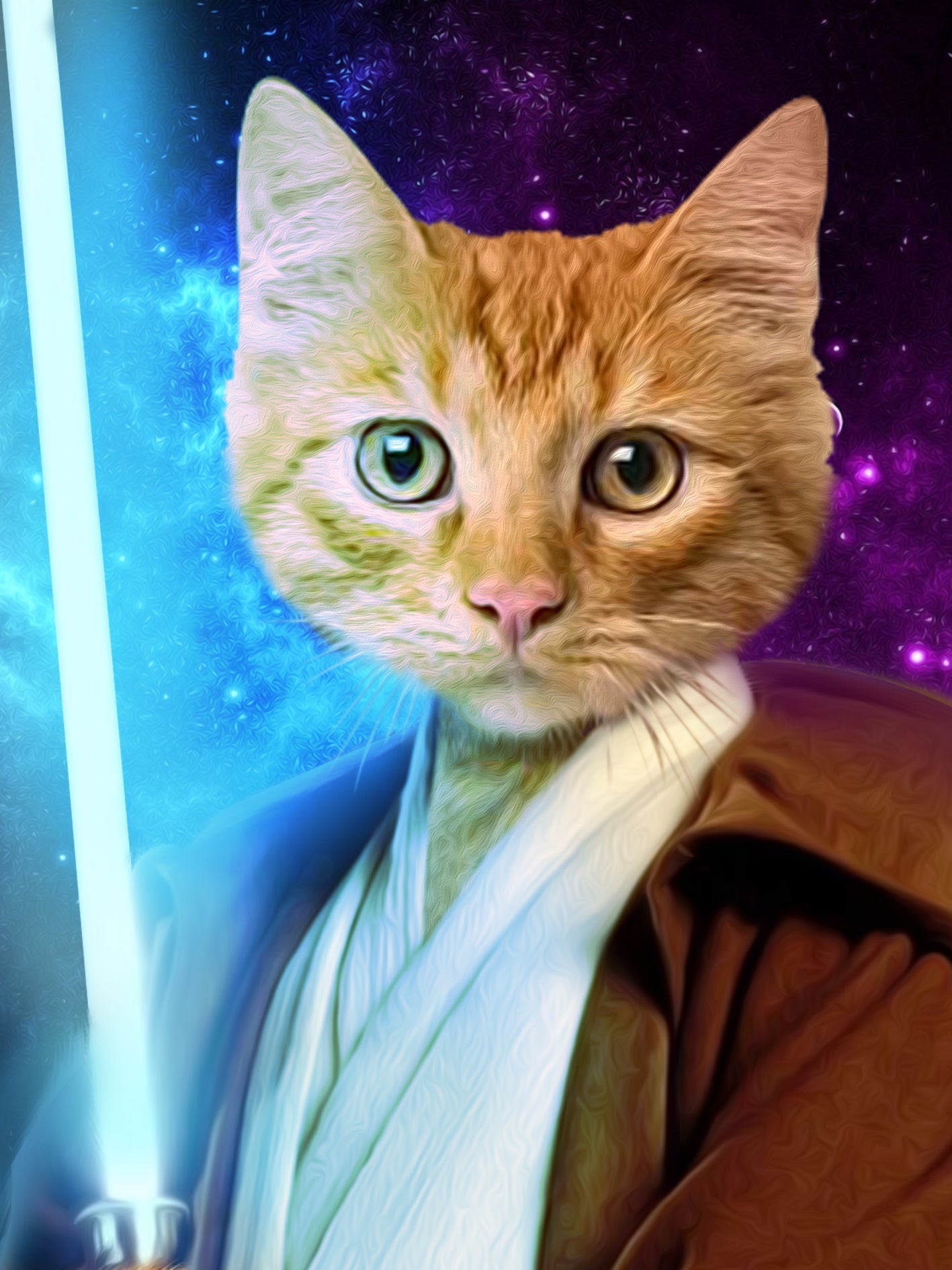SEE YOUR BELOVED CAT PROTECTING YOU WITH A LIGHT SABER