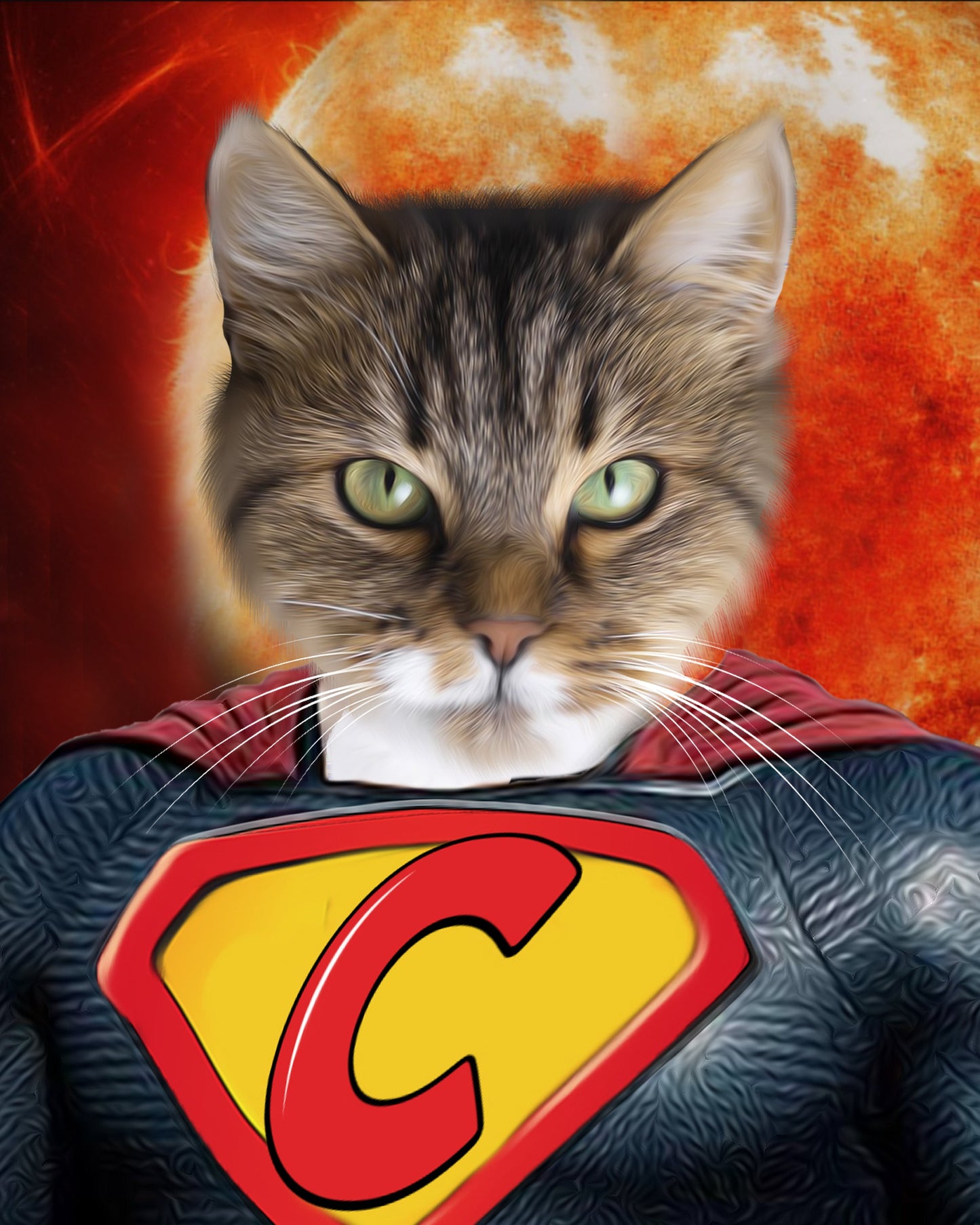 SEE YOUR BELOVED PET AS SUPER CAT ON CANVAS