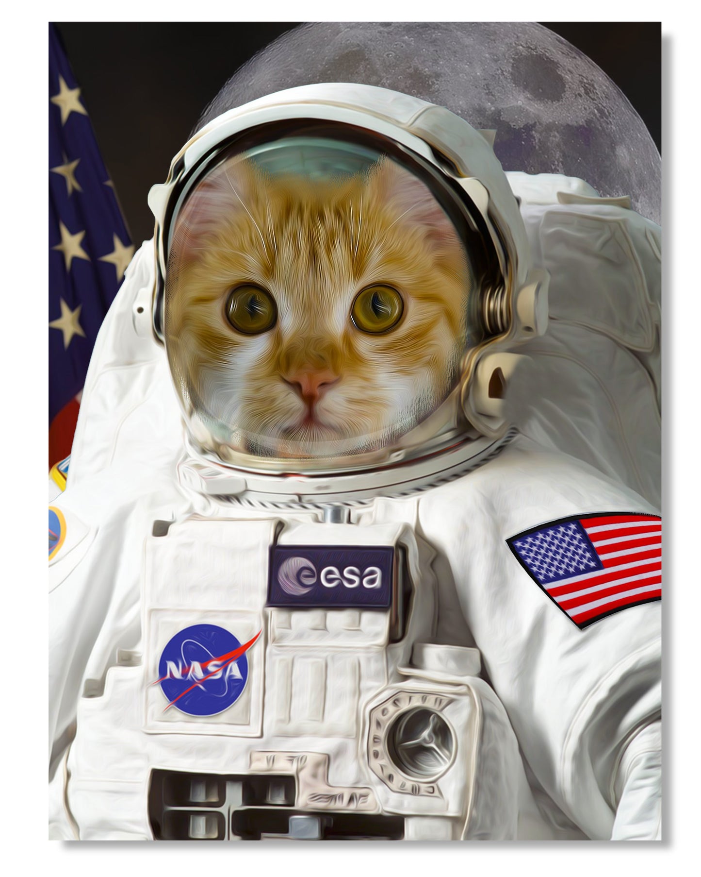SEE YOUR BELOVED CAT EXPLORE SPACE IN THIS BEAUTIFUL CANVAS