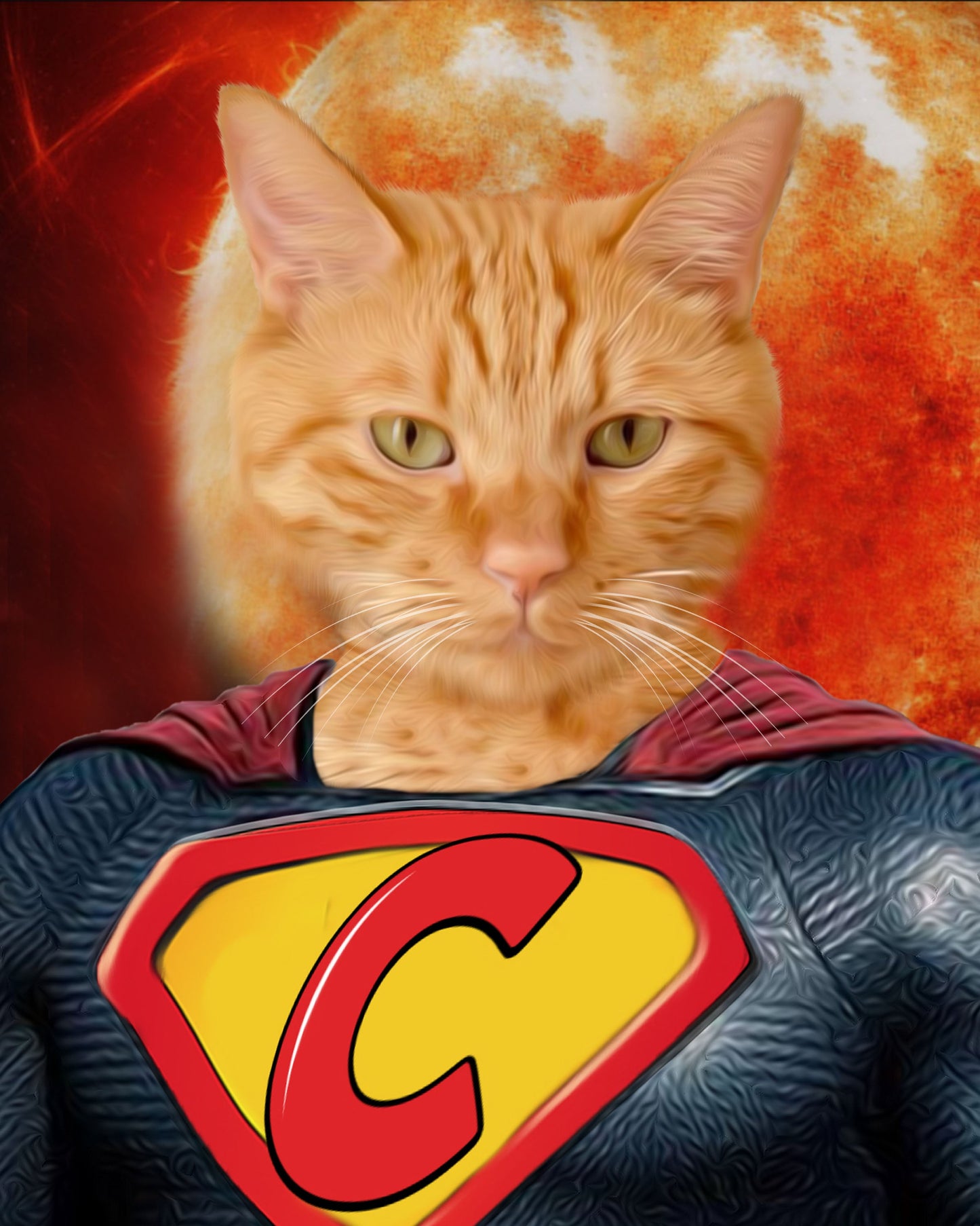 SEE YOUR BELOVED PET AS SUPER CAT ON CANVAS