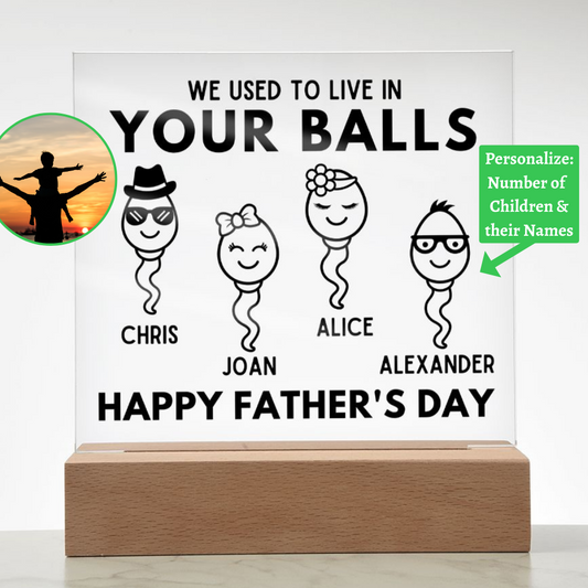 [Almost Sold Out] We Used To Live In Your Balls - Personalized Father's Day Acrylic Plaque