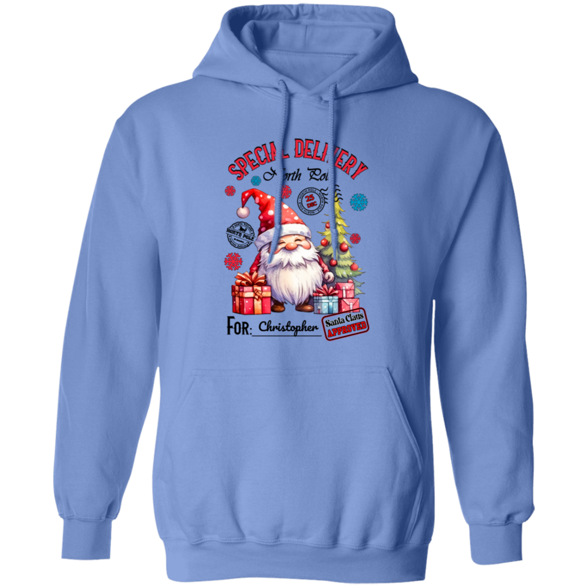 Santa Delight Pullover Hoodie