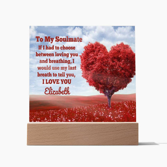 Almost Sold Out - Soulmate Love from Wife - Acrylic Plaque with Stand