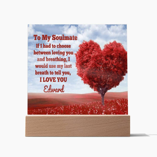 Almost Sold Out - Soulmate Love from Husband - Acrylic Plaque with Stand