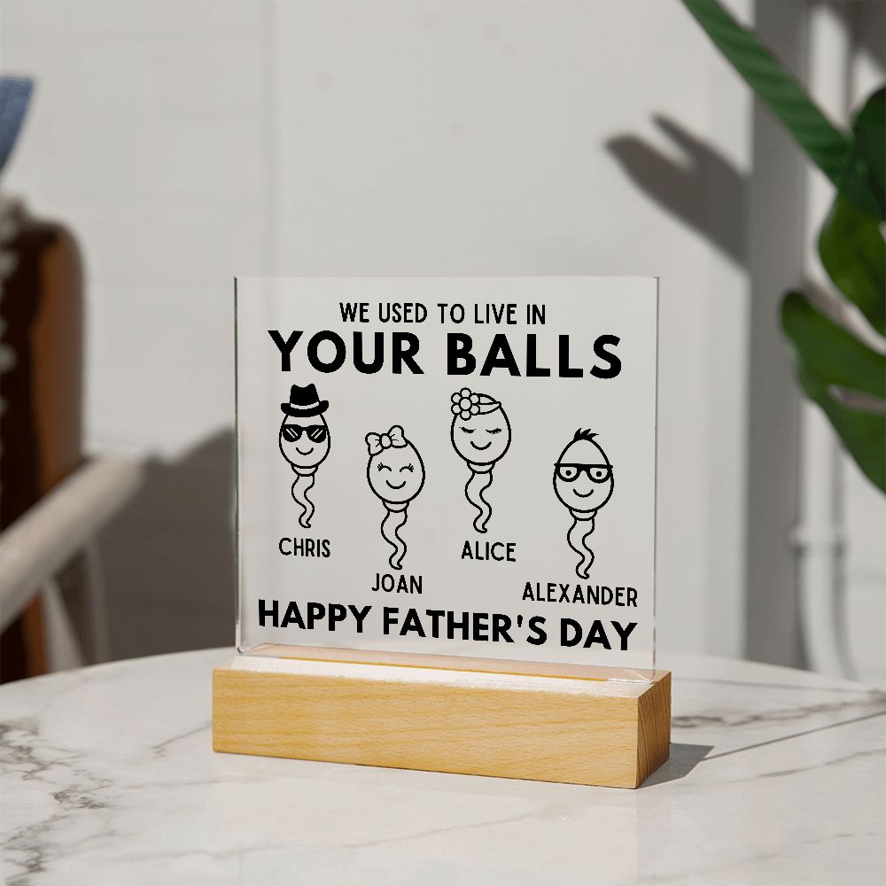 [Almost Sold Out] We Used To Live In Your Balls - Personalized Father's Day Acrylic Plaque