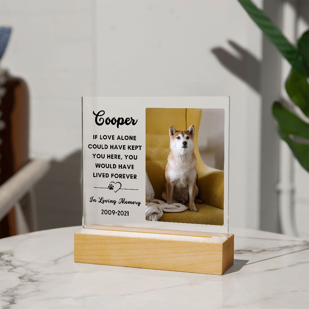 Almost Sold Out - Pet Memorial - Acrylic Plaque with Stand