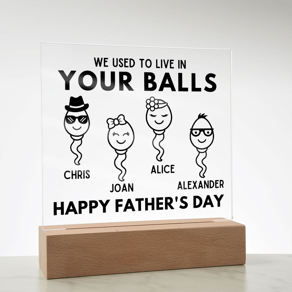 [Almost Sold Out] We Used To Live In Your Balls - Personalized Father's Day Acrylic Plaque