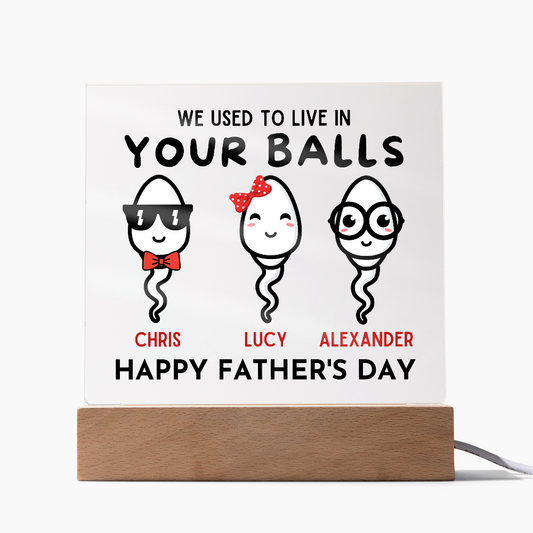 We Used To Live In Your Balls - Printed Square Acrylic Plaque