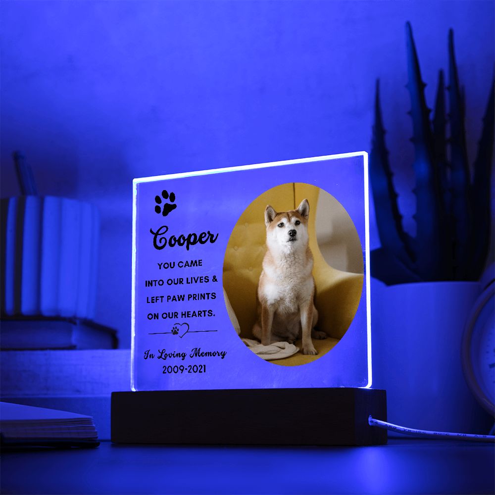 Almost Sold Out - Pet Memorial - Acrylic Plaque with Stand