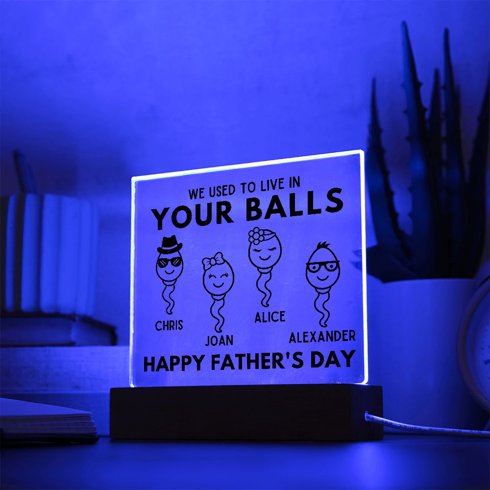 [Almost Sold Out] We Used To Live In Your Balls - Personalized Father's Day Acrylic Plaque