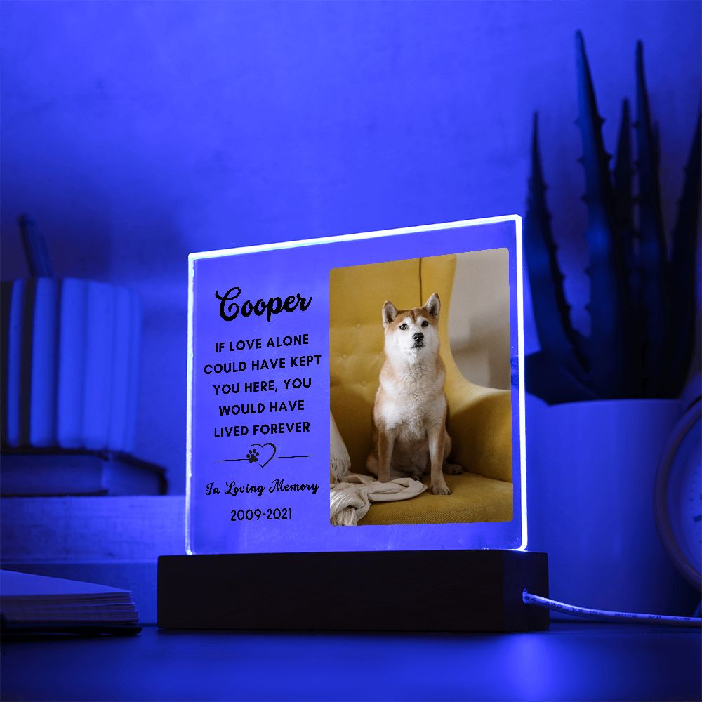 Almost Sold Out - Pet Memorial - Acrylic Plaque with Stand