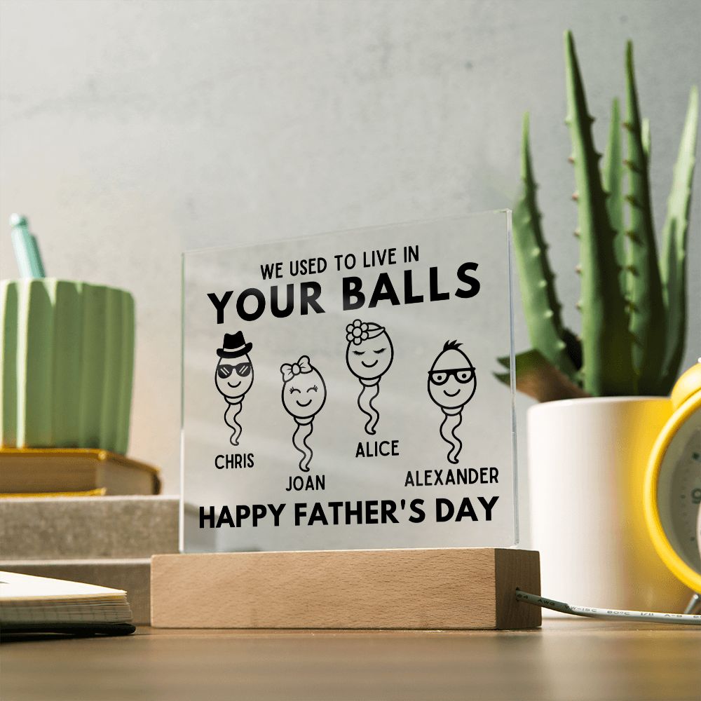 [Almost Sold Out] We Used To Live In Your Balls - Personalized Father's Day Acrylic Plaque